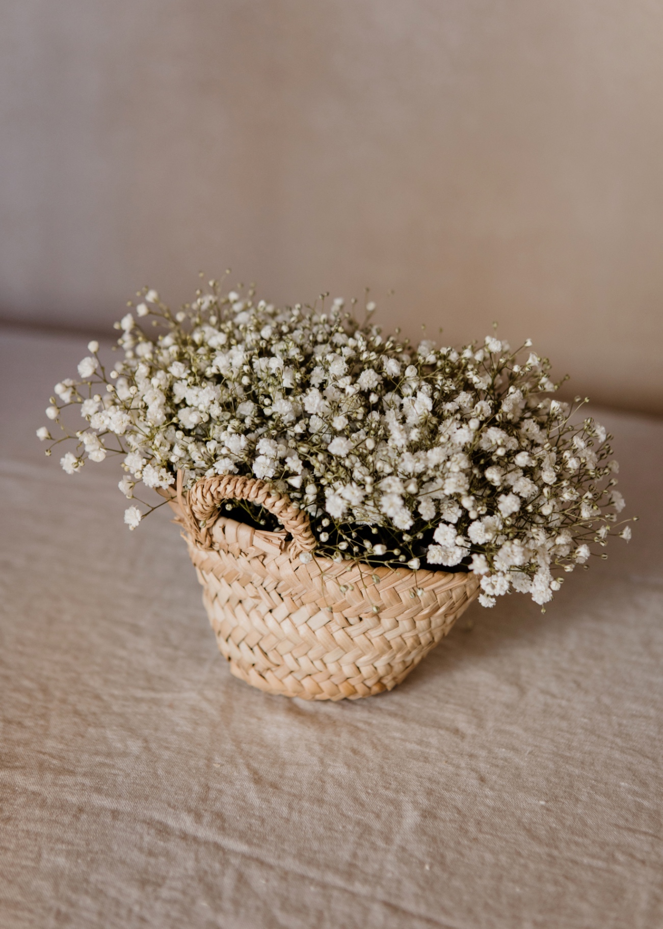 MINI CAPAZO DE PANICULATA NATURAL