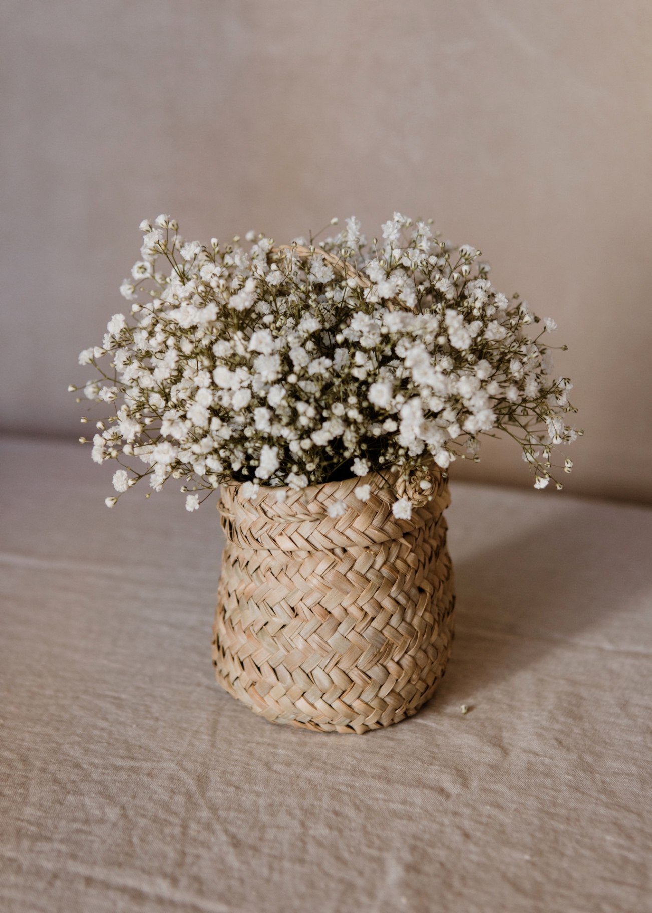 CESTITA DE PANICULATA FRESCA